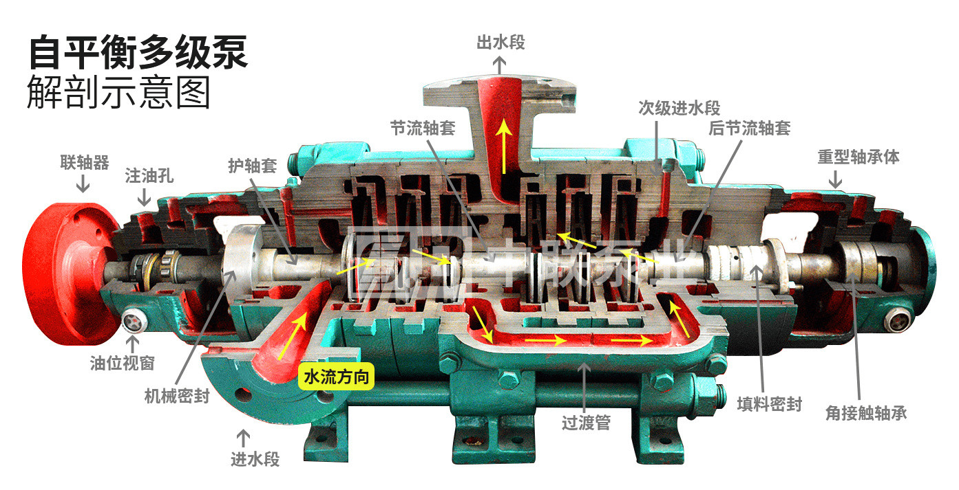 自平衡多级泵结构解剖图
